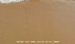 唯美动态短视频